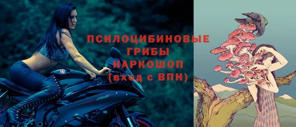 гидра Алзамай